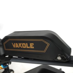 VAKOLE Q20 Fat Rétro avec 2 batteries 750w – Image 6