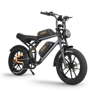 VAKOLE Q20 Fat Rétro avec 2 batteries 750w – Image 18