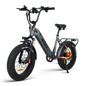 VAKOLE SG20 Fat Bike Vélo Cargo 750W – Image 2
