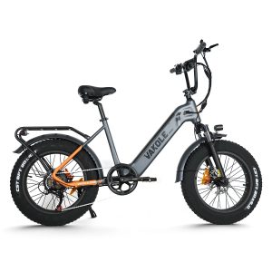 VAKOLE SG20 Fat Bike Vélo Cargo 750W – Image 4