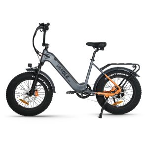 VAKOLE SG20 Fat Bike Vélo Cargo 750W – Image 6