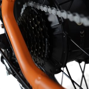 VAKOLE SG20 Fat Bike Vélo Cargo 750W – Image 19