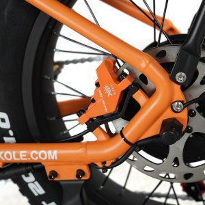 VAKOLE SG20 Fat Bike Vélo Cargo 750W – Image 12