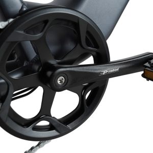 VAKOLE SG20 Fat Bike Vélo Cargo 750W – Image 17