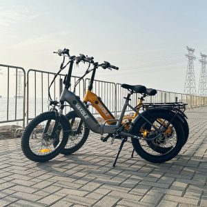 VAKOLE VT4 Fat Bike couleur Gris 250W – Image 10