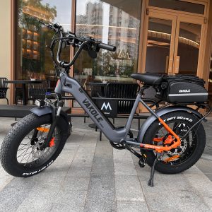 VAKOLE SG20 Fat Bike Vélo Cargo 750W – Image 22
