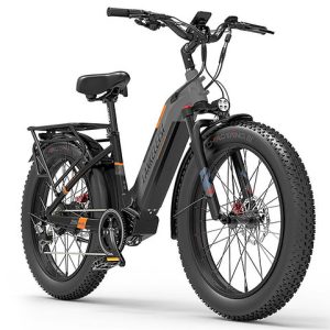 Lankeleisi MG600 Plus batterie 48v 20ah, moteur 1000w