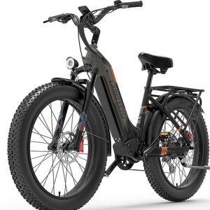 Lankeleisi MG600 Plus batterie 48v 20ah, moteur 1000w – Image 11