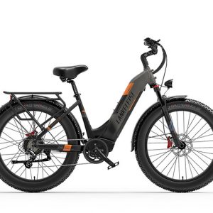 Lankeleisi MG600 Plus batterie 48v 20ah, moteur 1000w – Image 15