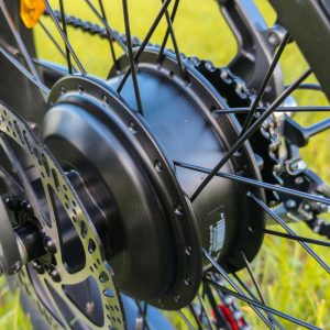 VAKOLE VT4 Fat Bike couleur Gris 250W – Image 12