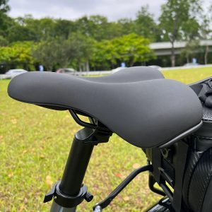 VAKOLE VT4 Fat Bike couleur Gris 250W – Image 13
