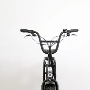 Rad Power Bikes RadRunner noir – Image 2